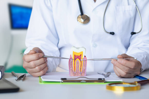 Best Walk-In Emergency Dentist in Elm Creek, NE